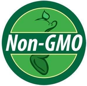 Non GMO Bulk Annual Gaillardia Blanket Flower Seed -Gaillardia pulchella (5 Lbs)