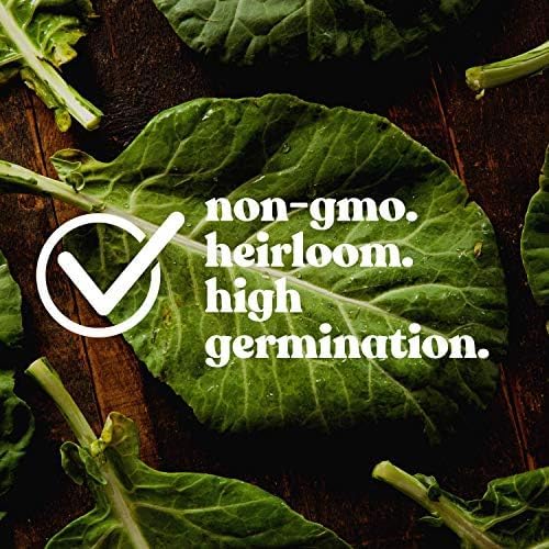 Clover Trio Seed Blend – Premium 5 Lb Bulk ~896,000 Seeds – Red, White & Crimson Clover – Cover Crop & Soil Enrichment Mix