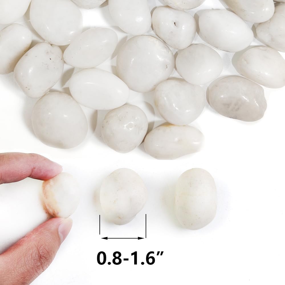 HappyFiller Natural Decorative White Pebbles Polished Rocks Stones for Aquarium Gravel,Fish Turtle Tank,Outdoor Indoor Succulents Plants Top Dressing,Graden Landscaping,2 LB