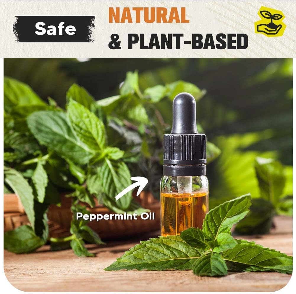 Pest Repellent, Mouse Repellent, Rodent Repellent for Indoor/Outdoor, Natural Rat Repellent for House, Keep Mice, Roach, Ant and Spider Away from Home, Protects 120 sq ft - 8P