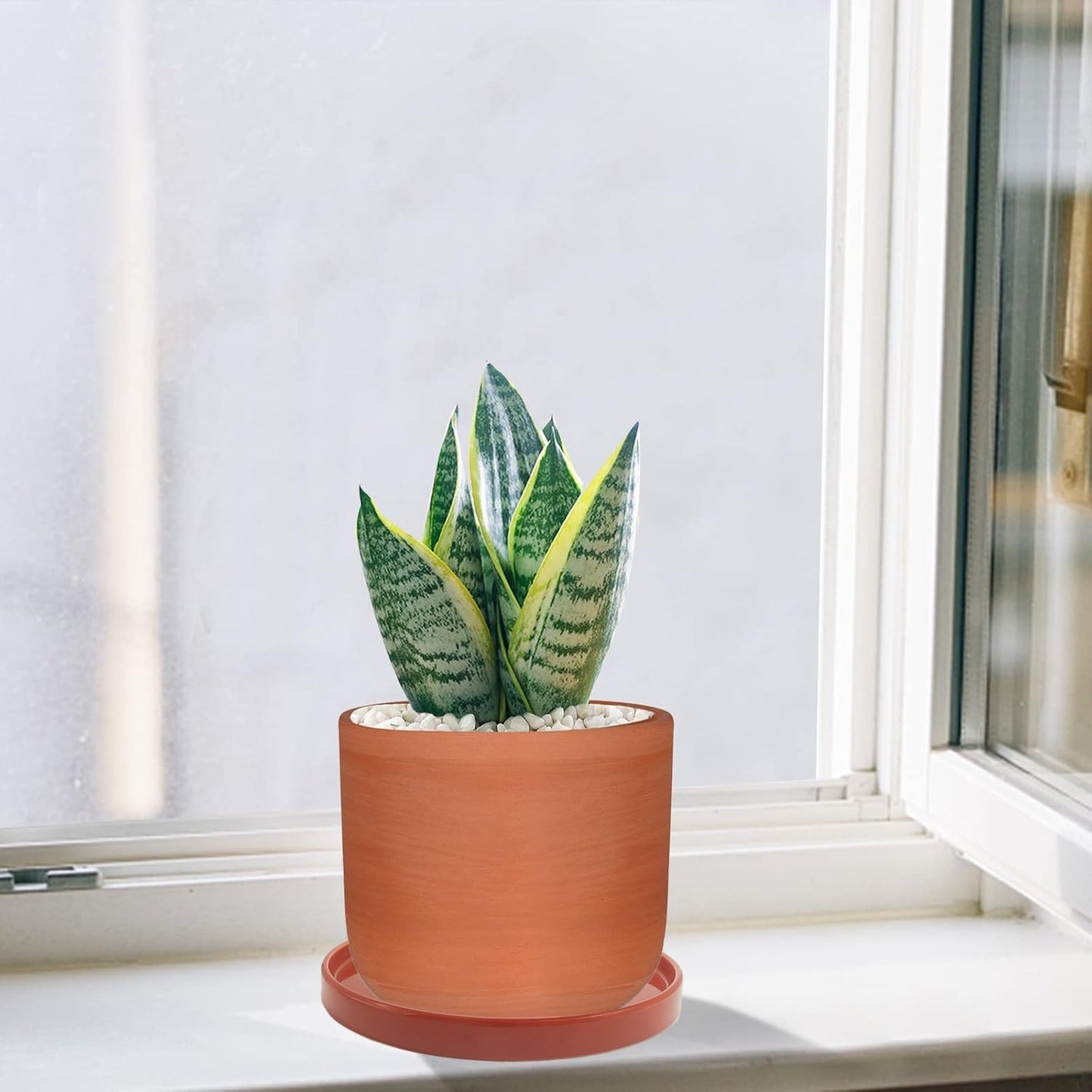 2 Pack Ceramic Plant Saucer Pot Tray 8.5 Inch, Planter Saucers 6 7 8 9 10 11 12 15 Inch, Durable Sturdy Flower Drainage drip Water Tray for Glazed Pots Base (8.5 Inch- Red Terracotta)