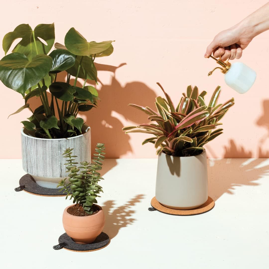 Modern Sprout Plant Mister, 8 oz Indoor Watering Can, Aesthetic Plant Sprayer & Water Mister Spray Bottle, Garden Watering Can for Seed Starting, Vintage-Inspired Gift for Green Lovers - White