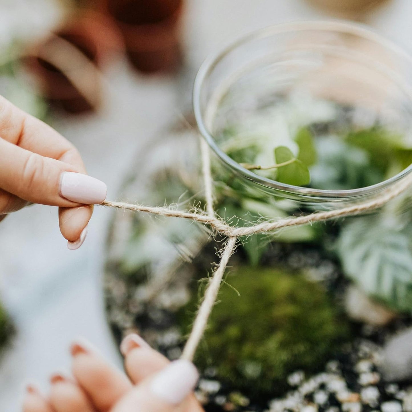 2mm x 1000 Feet Natural Jute Rope, Twine for Gardening Tomato Climbing Plant Tie Floristry Crafts Gift Wrapping Packing Decor