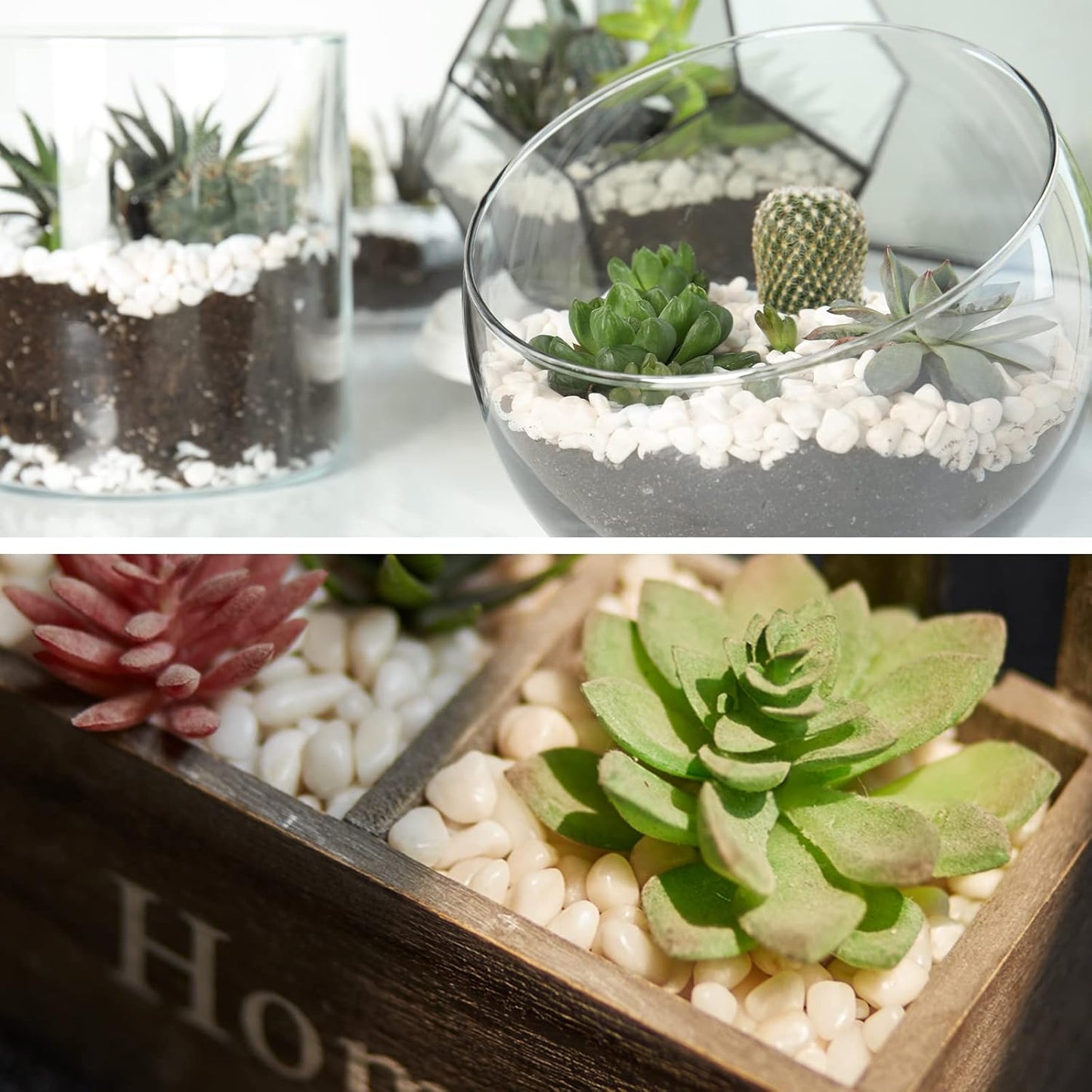 GASPRO 5lb Pebbles for Indoor Plants, Vases, Succulent, 3/8" Small Decorative White Rocks, High Polished