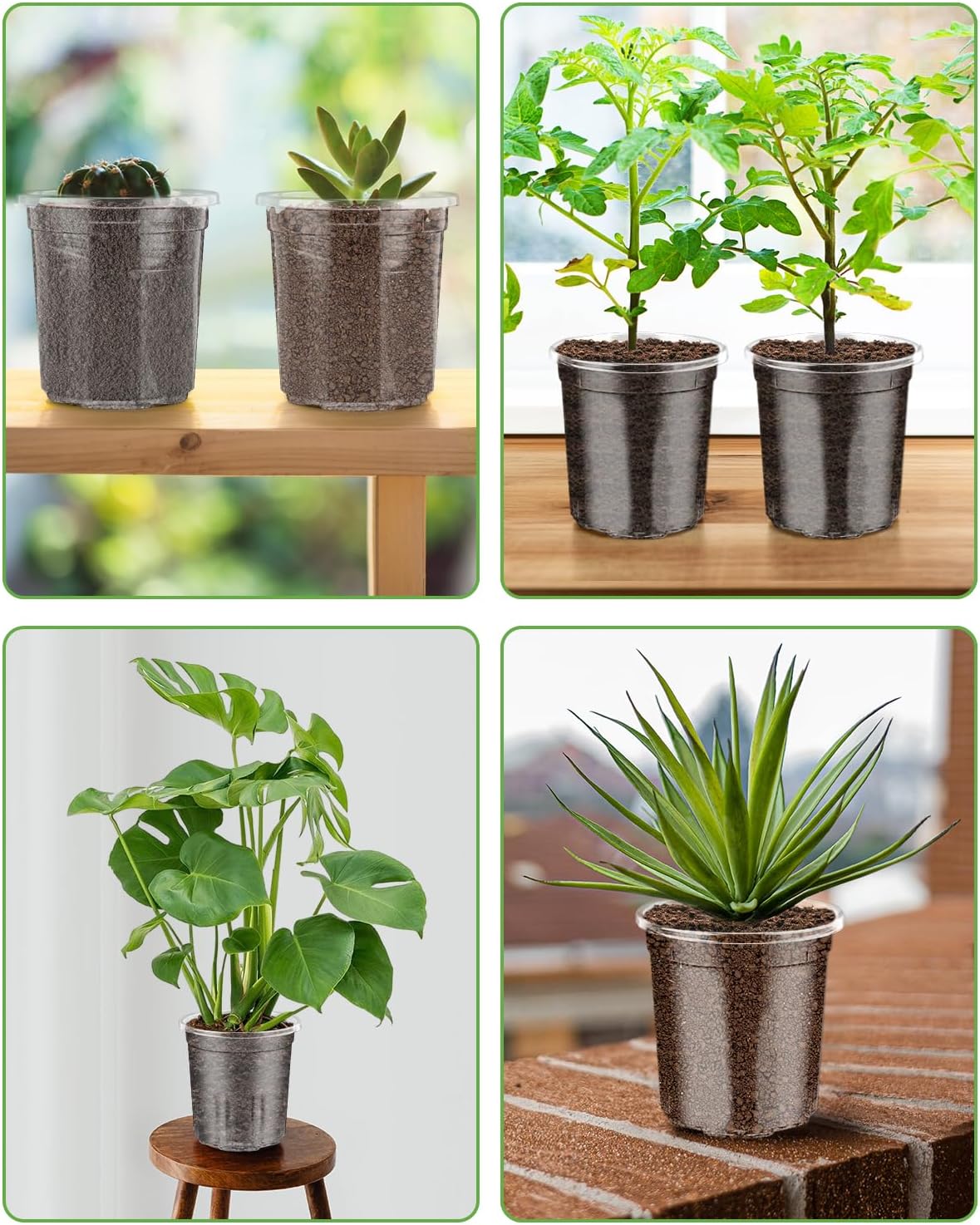 PACETAP 30Pack 5 Inch Reinforced Clear Nursery Pots with Drainage Holes, Variety Pack Plastic Plant Pots with 20 Plant Labels for Indoor Outdoor Flower Seed Starter