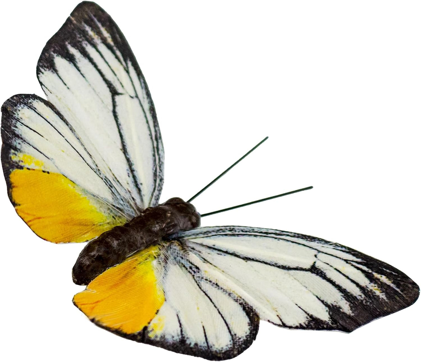 Berfutall-Artificial Feather 3D Butterfly Party Decorations Set of 12 Color Ornaments for Christmas Tree(C)…