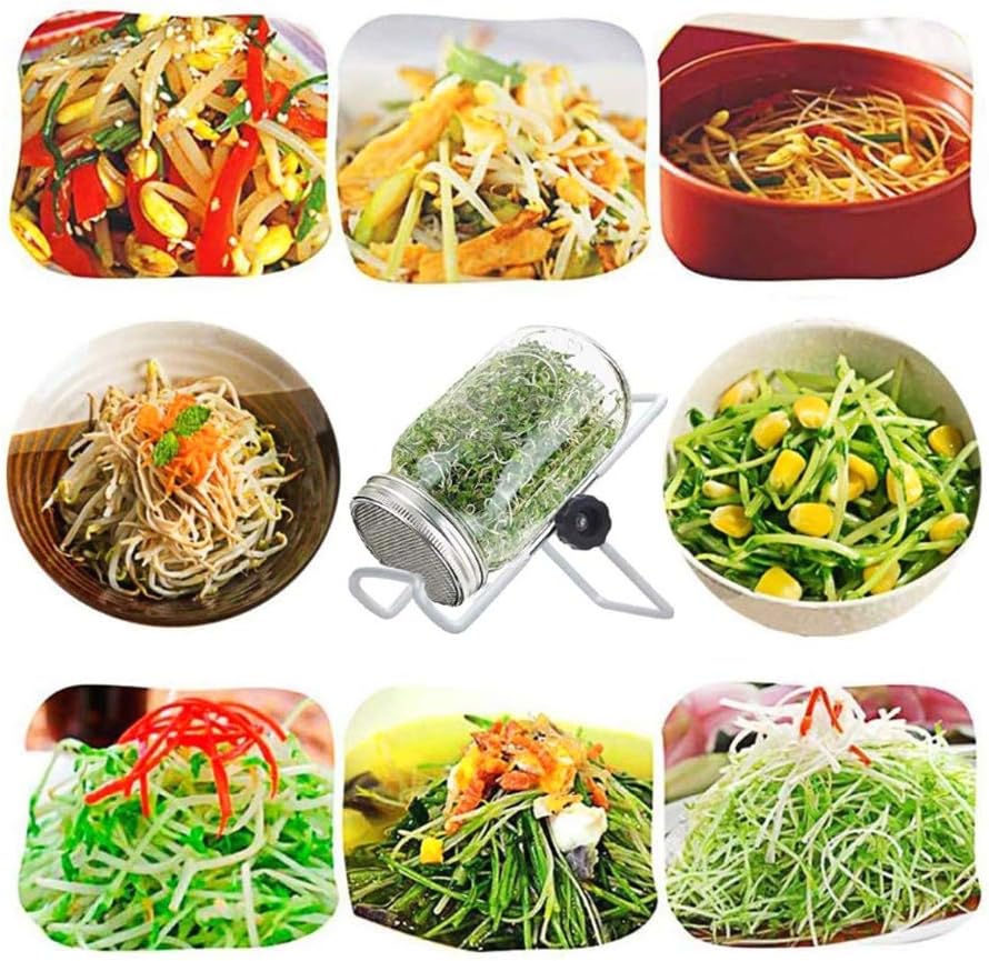 Sprouting Jar Kit, Wide Mouth Quart Mason Jars with Screen Sprout Lids & Stand, Seeds Germination Growing Kit, Seed Sprouter Set for Growing Organic Broccoli Alfalfa Mung Microgreens Bean (1Pack)