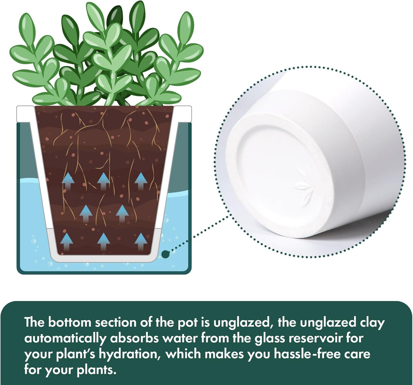 D'vine Dev 4 Inch Design Self Watering Planter for Indoor Plants, White Terracotta Pot with Teal Cylinder Glass Cup, Set of 3,37-Z-A-5-T