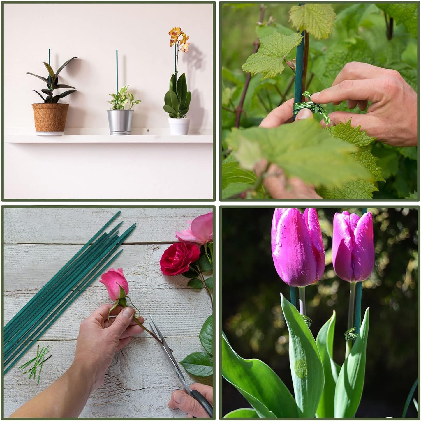 Green Bamboo Plant Stakes, Plant Sticks Support for Indoor and Outdoor Plants, Garden Wood Sturdy Bamboo Sticks, Floral Plant Support Stakes for Garden Plants 25 Pack(15 Inches)