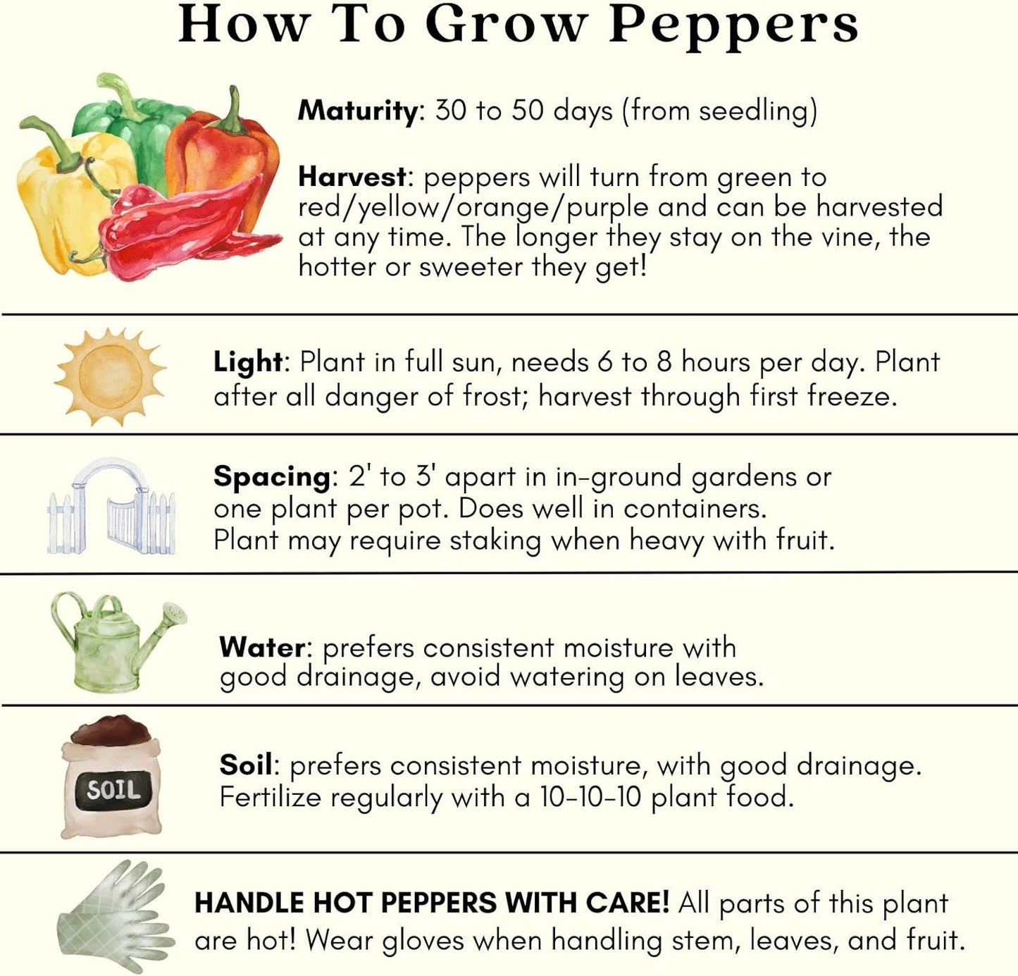 Clovers Garden Serrano Pepper Plants– Two (2) Live Plants – Non-GMO - Not Seeds - Each 4" to 8" Tall – in 4" Inch Pots – 20K SHU, Small Fruits