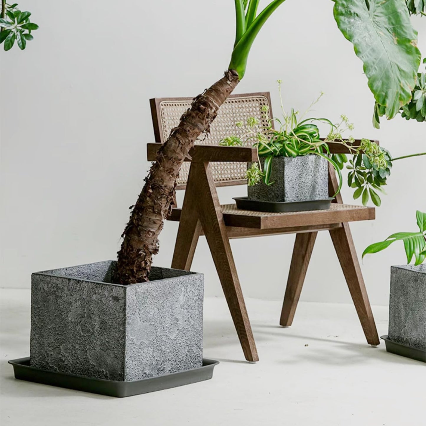 Square Plant Saucer 20 22 Inch 2 Pack, Extra Large Plant Saucers, Deep Plant Trays for Pots, Heavy Plastic Water Tray Tor Plants, Planters for Indoors and Outdoors Plants (20 inch Black)