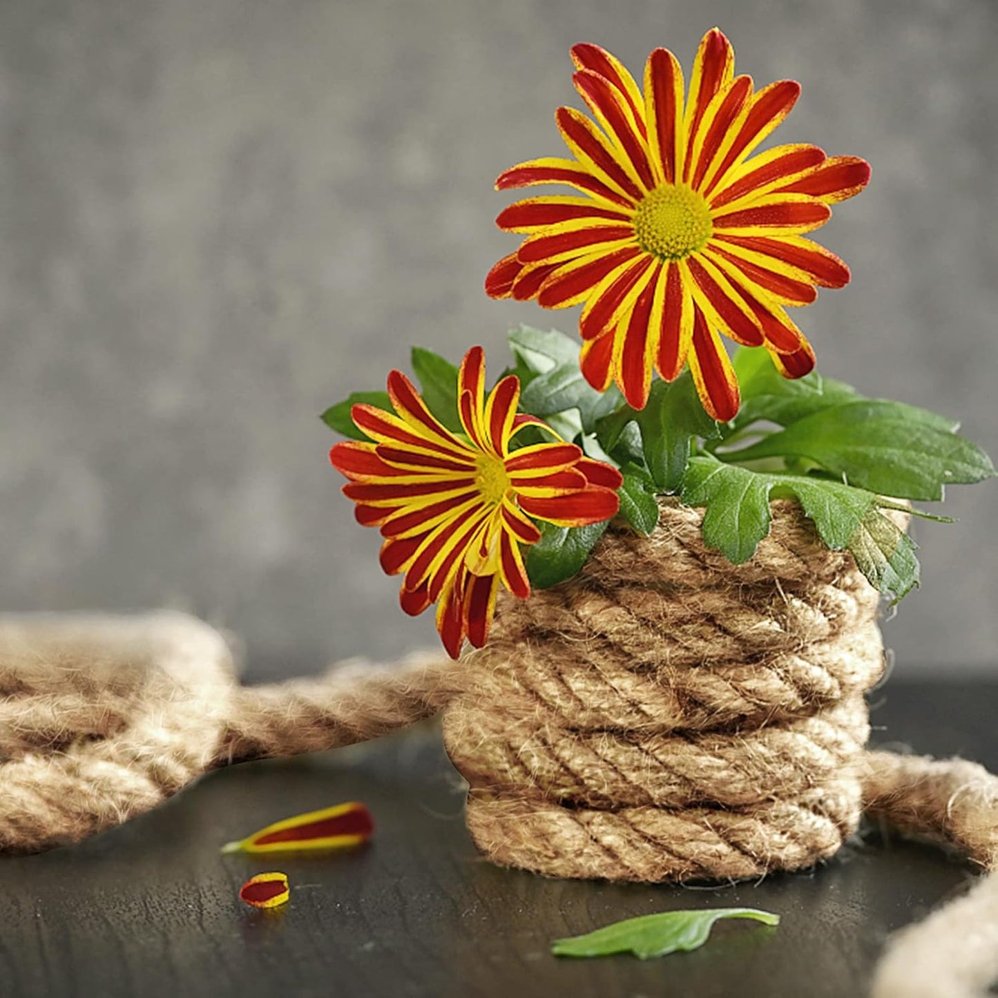 PINGEUI 164 Feet 10mm Jute Rope, Natural Jute Twine, Hemp Rope for DIY Arts Crafts, Gardening, Bundling, Home Decoration