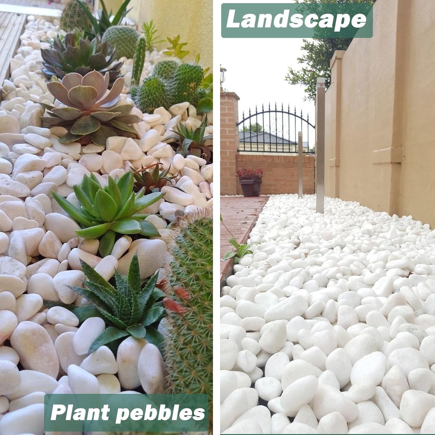 11Lbs Natural River Rocks for Plants 1''-2'' Large Landscaping Garden Stones White Aquarium Gravel for Decorative Pebbles for Indoor Outdoor Planters, Big Terrarium Rocks in Bulk, Home Decor