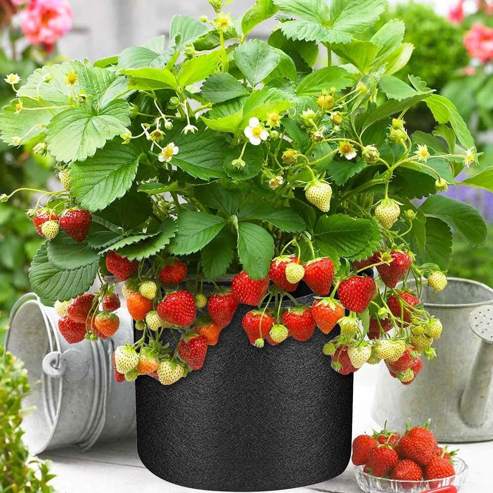 150 Pack 10 Gallon Plant Grow Bags, Thickened Nonwoven Aeration Fabric Pots with Handles, Aeration Garden Cloth Planter Bag for Outdoor Fruits, Vegetables and Flowers