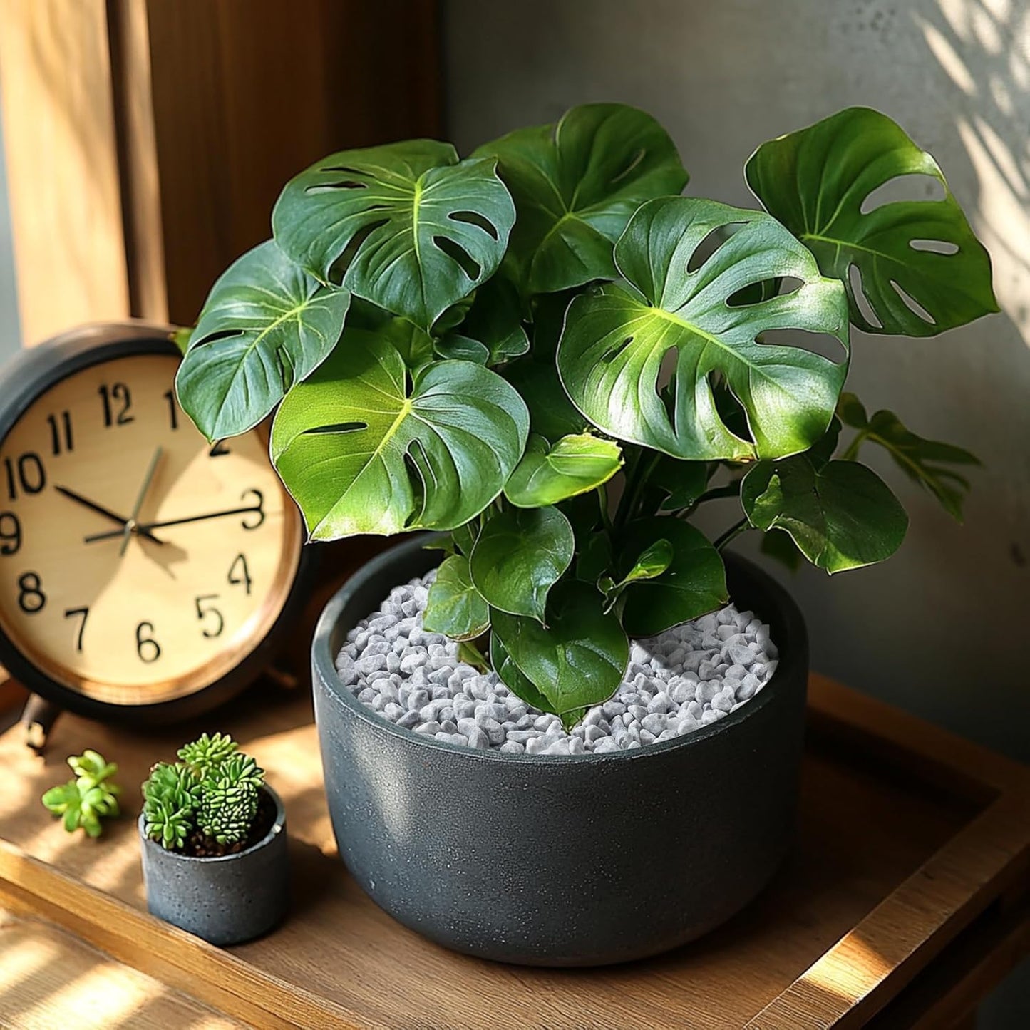 5LB Grey Tumbled Decorative Gravel – 1/5 Inch Unpolished Natural Stones for Planters, Succulents, Vase Fillers, Fish Tanks, and Garden Paths