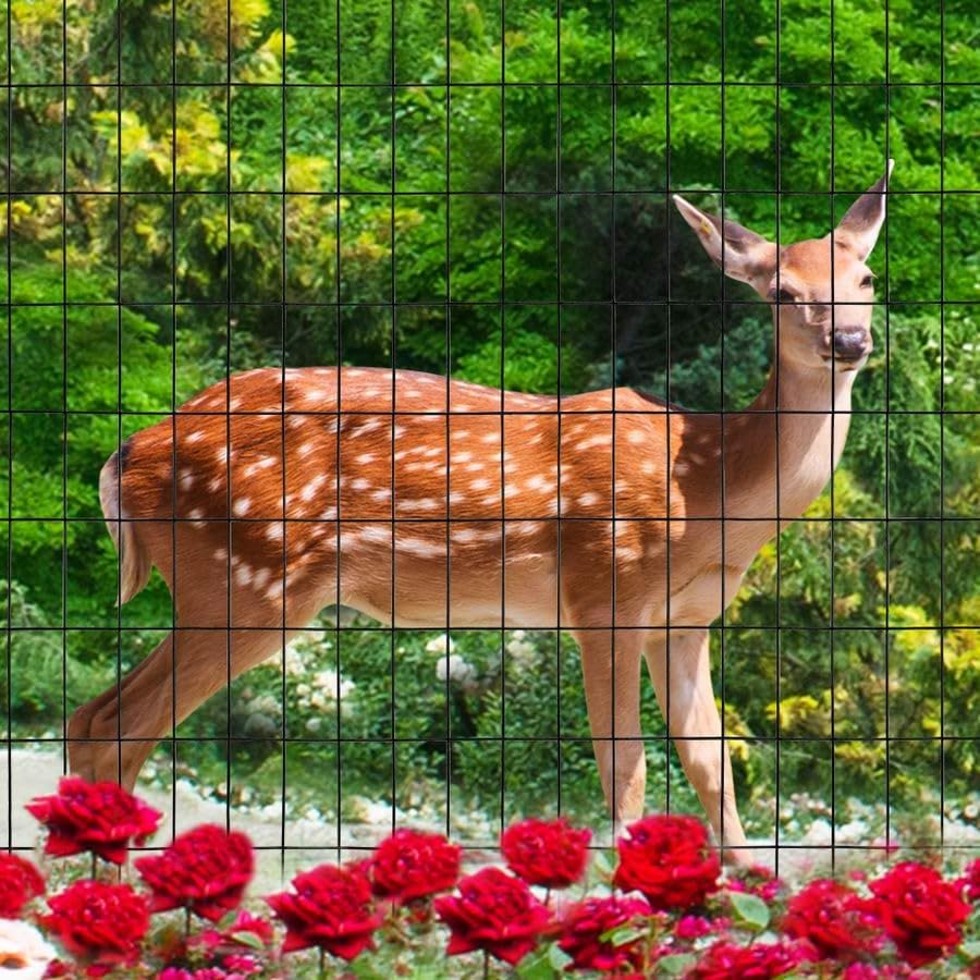 Black PVC Coated Welded Wire Fence 36 Inch x 50 Foot, 2 Inch x 4 Inch 14GA, Garden Border Fencing Roll Vinyl Coating Metal Wire Mesh Hardware Cloth for Yard Vegetable Plant Protection