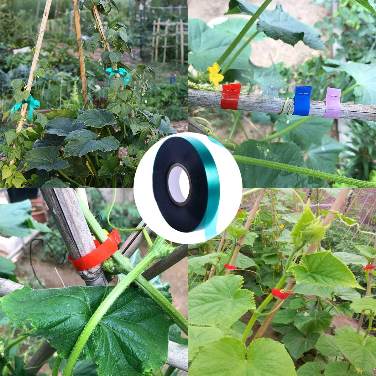 1 Roll 150 Feet Stretch Tie Tape 0.5 Inch Garden Tie Tape Thick Plant Ribbon Garden Green Vinyl Stake for Indoor Outdoor Patio Plant Use
