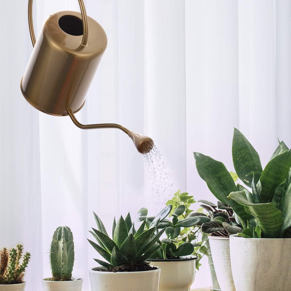 1/2 Gallon 68oz Long Spout Stainless Steel Gold Colored Watering Can for Indoor Plant Watering or Outdoor Gardening with 2 Removable Spray Spout for Flowers, Medium