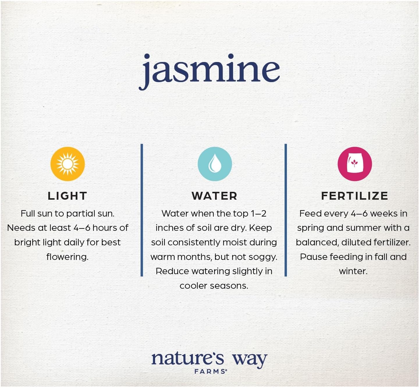 Nature’s Way Farms Jasmine Confederate Staked Outdoor Live Plant (18-24in Tall) in Grower Pot Comes Without Flowers