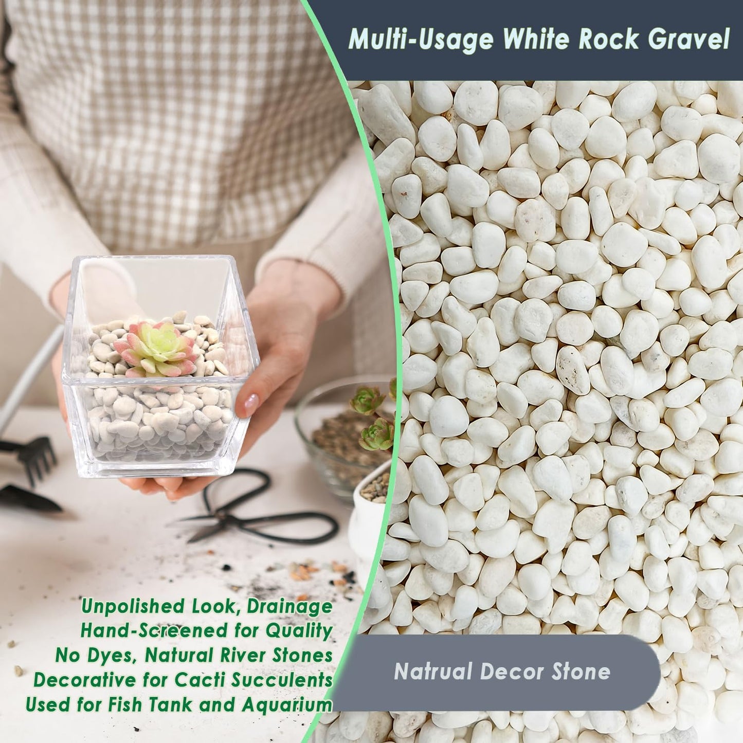 5 LB Natural White Gravel for Plants, Succulents & Cactus, Aquarium, Fish Tank, 0.6 inch Small White Pebbles for Vases, Rocks for Landscaping, Indoor Potted Plants, Garden and Home Decorative Stones