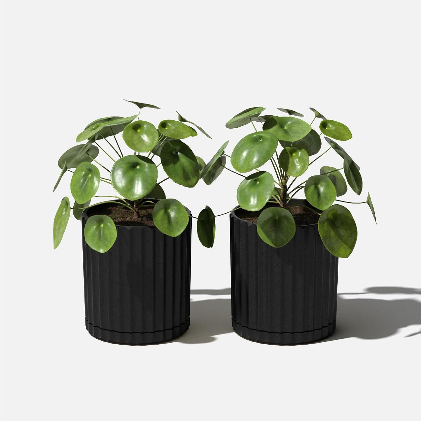 Veradek Demi Series Demi 6" Planter w/Tray - Black, 2 Pack