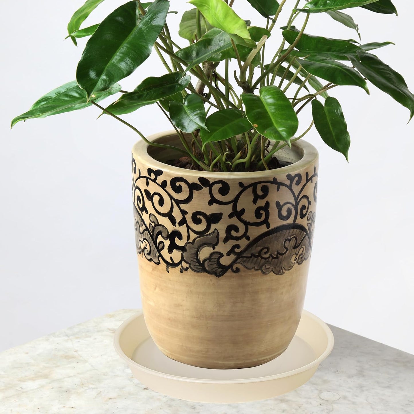 6 Pack Plant Saucer Water Drip Tray, 4 5 6 7 8 9 10 11 12 13 15 17 19 inch, Heavy Sturdy Plant Drainage Tray for Indoors Outdoor, Flower Saucers for Pots Base (4", Beige)