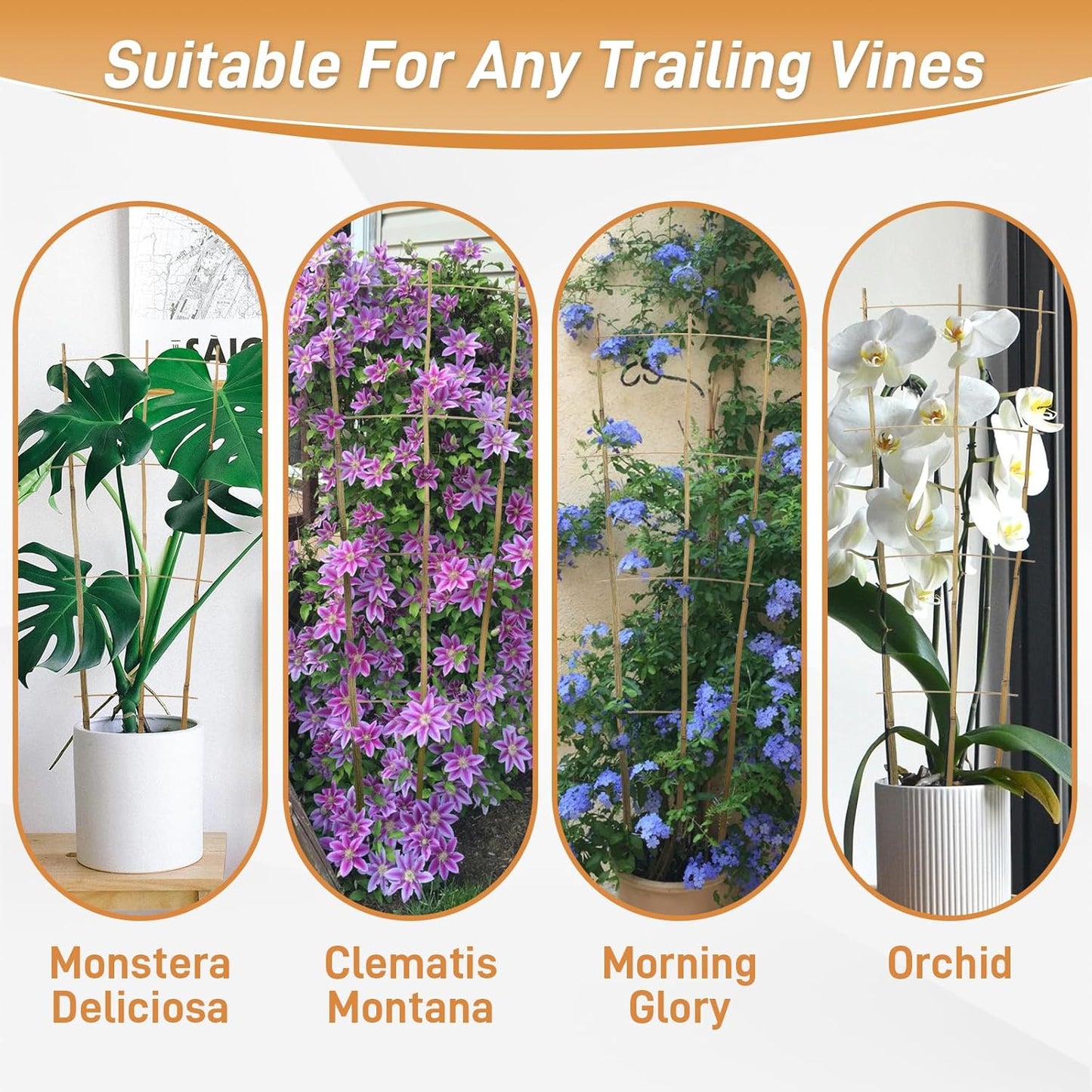 10 Pack 3ft Bamboo Trellis for Climbing Plants-Natural Garden Ladder Trellis, Fan -Shaped Support Trellis for Potted Plant Decor in Door