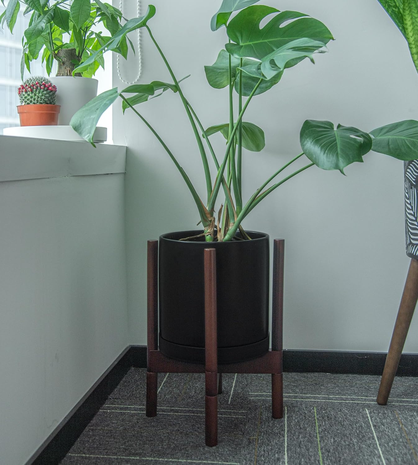 Phoenix Vine 10 Inch Plastic Plant Saucer Water Drip Tray, Heavy Sturdy Round Plant Drainage Tray for Indoors Outdoor, Set of 2, Matte Black, 21-TY-10B-2