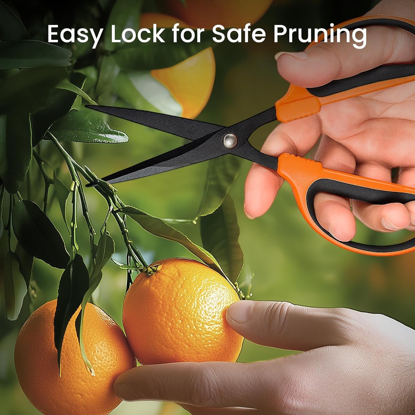 GROWNEER 6 Packs Trimming Scissors Teflon Coated Non Stick Blades Pruning Shears Gardening Hand Pruning Snips with Straight Stainless Steel Precision Blade