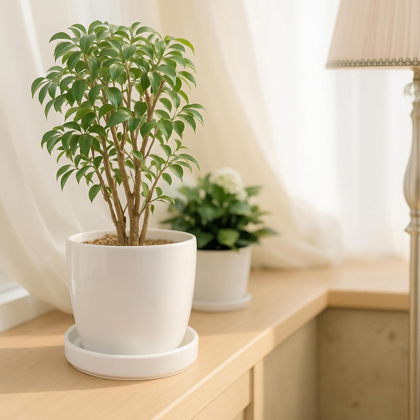 D'vine Dev Modern Round 5.4 Inch Ceramic Plant Pot Saucer, Planter Pot Drainage Tray for Indoor Plants, Matte White, 97-T-A-2