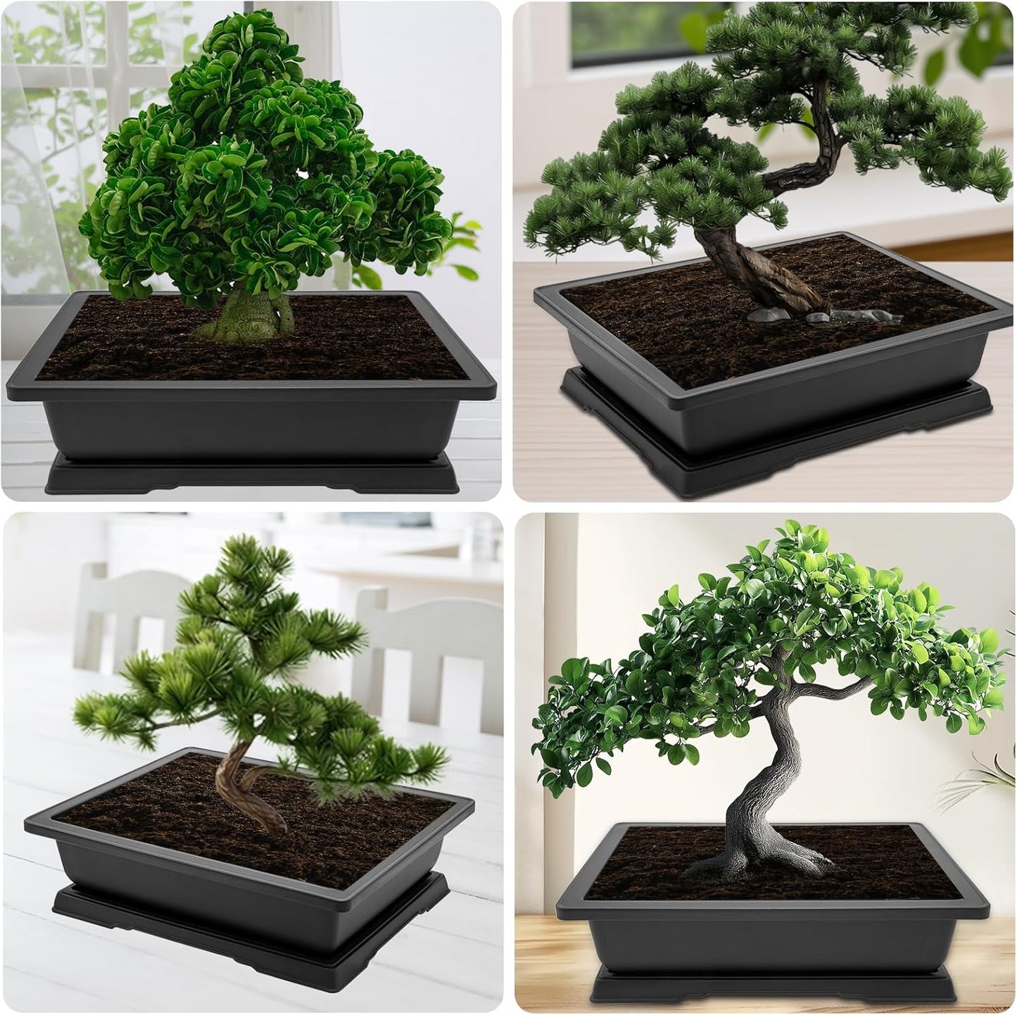 GROWNEER Large Bonsai Training Pots 3 Packs 14 Inch with Drainage Humidity Trays, Bonsai Tree Starter Kits with 1 Repotting Mat, Growing Rectangle Planter for Garden Yard Office Indoor Outdoor
