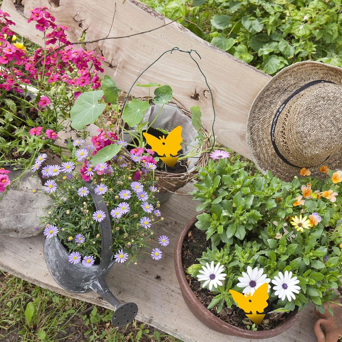 USKICH Sticky Trap Fruit Fly and Gnat Trap Sticky Bug Traps Fungus Traps for Indoor/Outdoor ,Insect Catcher for White Flies,Mosquitoes,Fungus Gnats,Lying Insects (36 Pcs Yellow)