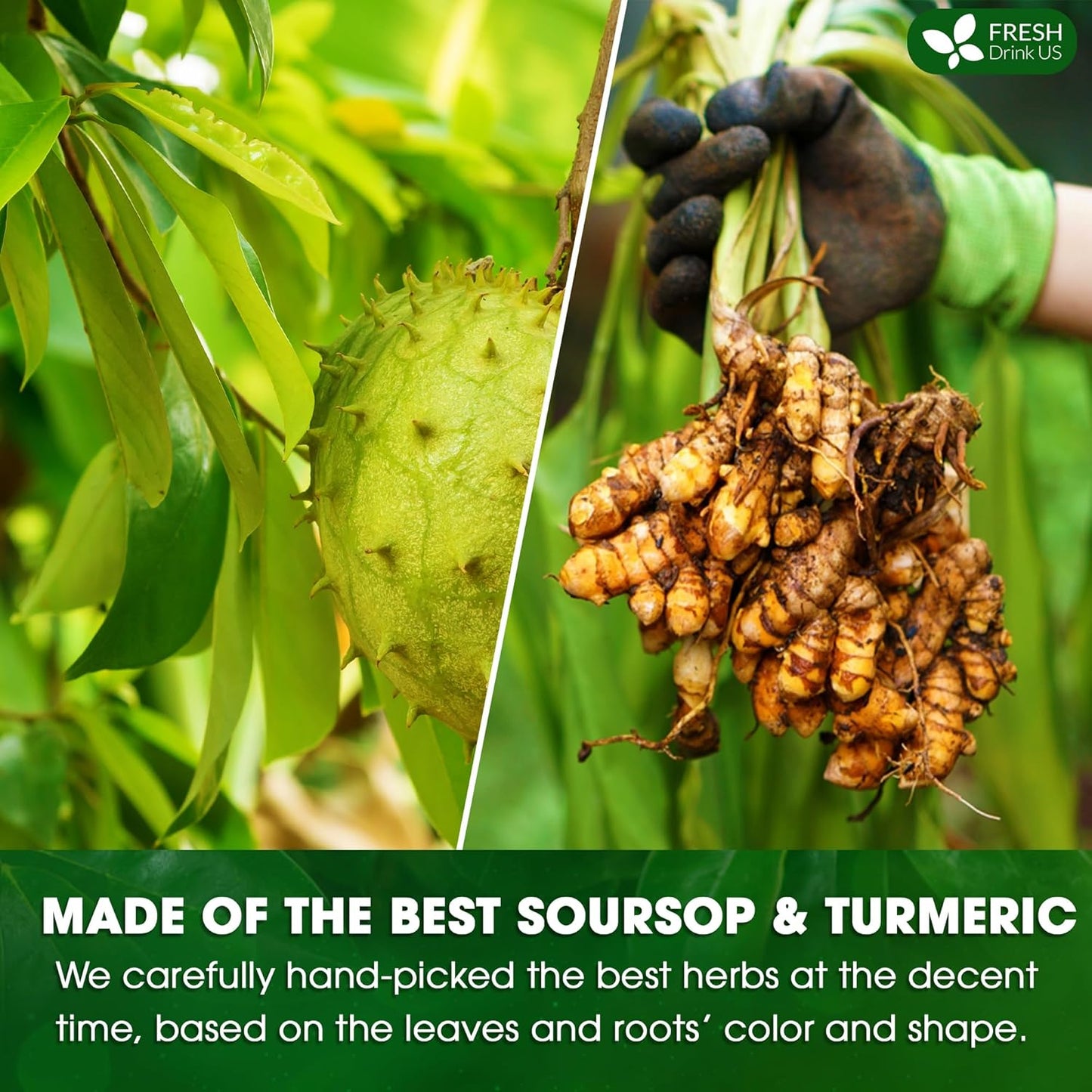 FreshDrinkUS, Premium 25 Tea Bags Soursop Turmeric, 100% Natural, Blend of Soursop Leaves, and Turmeric Root. Made with Natural Material Tea Bags. No Sugar, Vegan.