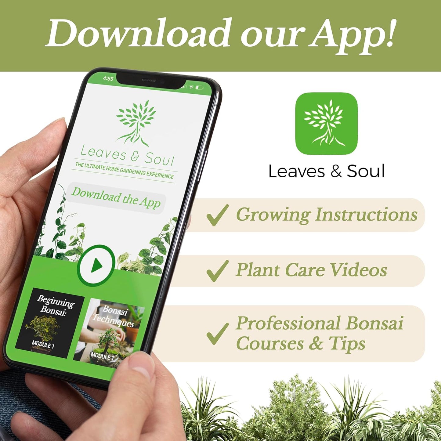 Professional Aloe Plant Soil | Premium All Purpose Blend | Large 2.2 Quarts | Ready to Use for Aloe, Cactus, Succulent Plants | Pinebark, Peat, Course Sand | Made in USA