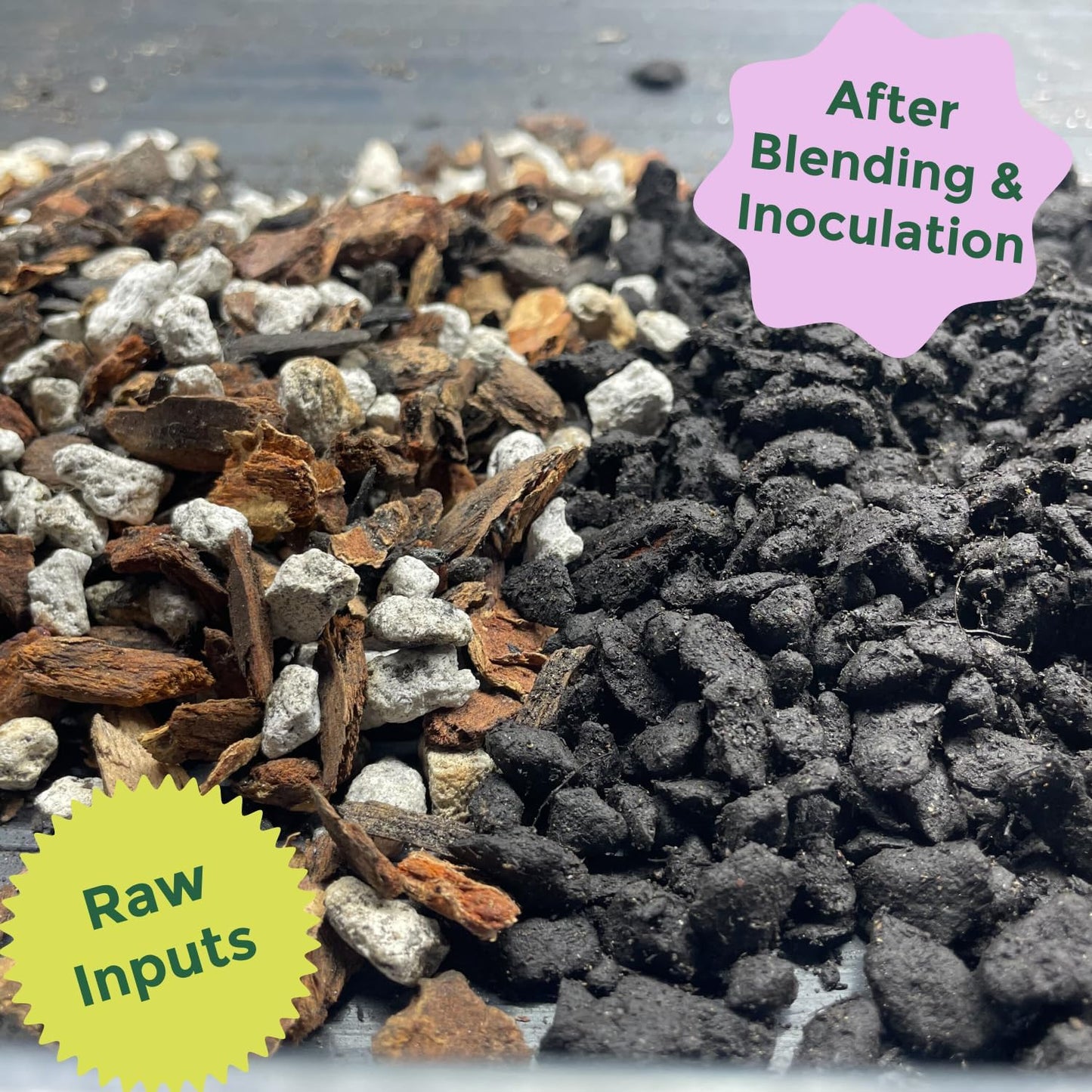 Cactus and Succulent Organic Potting Soil Mix for House Plants - Fast Draining, Root Boosting, Peat-Free, Less Prone to Gnats - Drought-Tolerant - Growth of Aloe Vera, Cacti and Indoor Succulents- 4qt