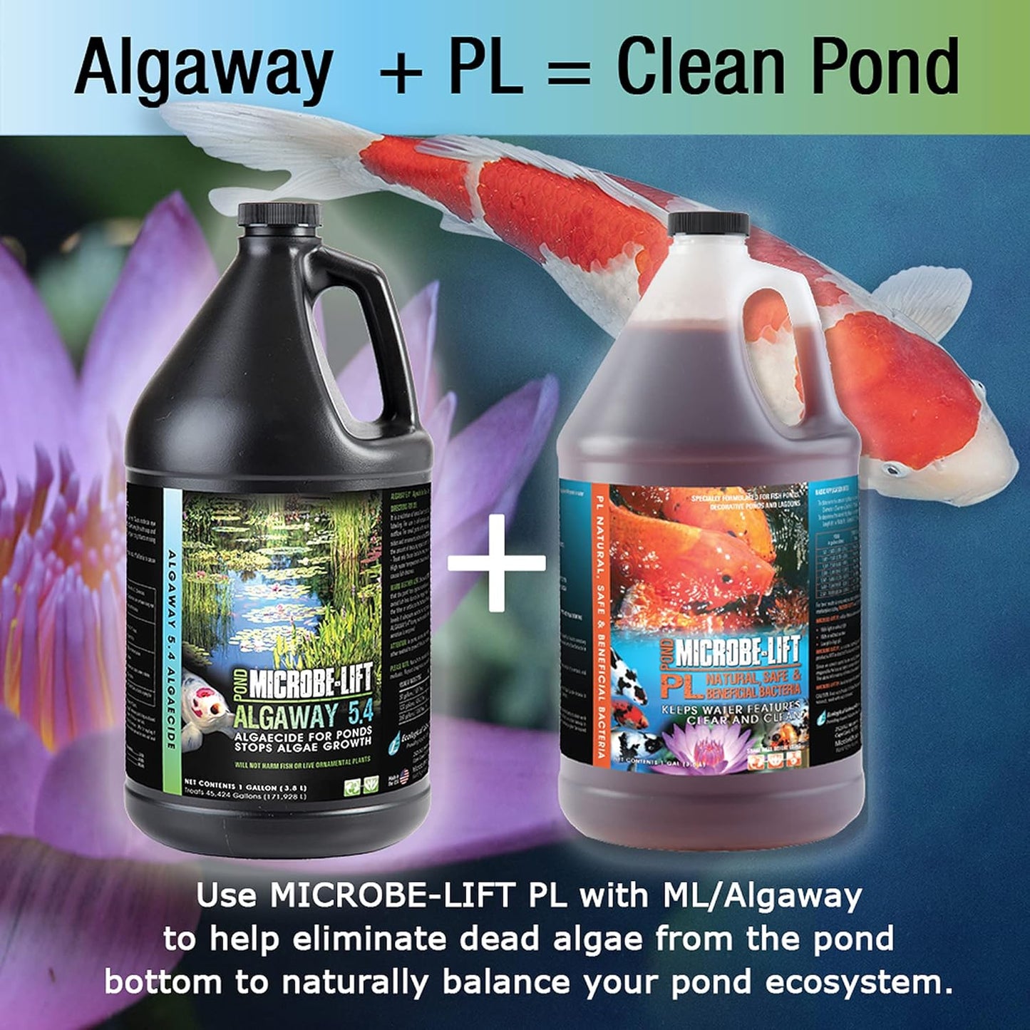 MICROBE-LIFT ALGA2.5 Algaway 5.4 Algae Control Treatment for Ponds and Water Gardens, Safe for Koi Fish, Goldfish, Plants, and Decorations, 2.5 Gallons