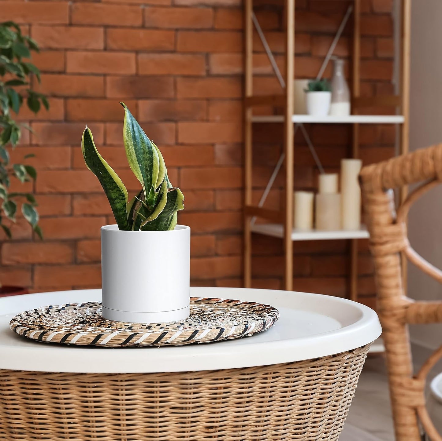 D'vine Dev 4 Pack 6 Inch Modern Plastic Plant Pots, Small Garden Planters for Plant with Drainage Holes and Saucers, White Color, 74-Z-J-2