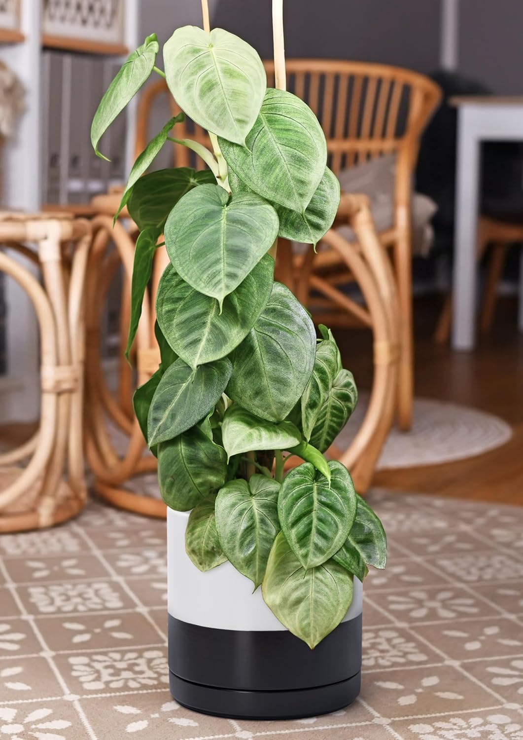 D'vine Dev 10 Inch Ceramic Planter Pot with Drainage Hole and Saucer, Indoor Cylinder Round Planter Pot, Layered Monochrome Black & White, 94-O-E-L