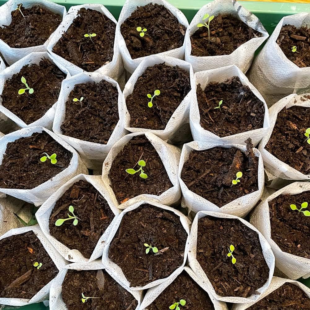 100Pcs Nursery Growing Bags, Non-Woven Fabric Seedlings Grow Bag for High Seedling Survival Rate, Flower Seed Packets Starter (8.2"x7.1")