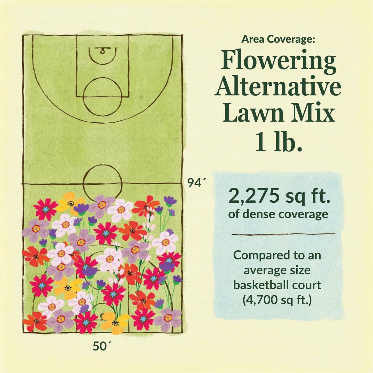 Ferry-Morse Flowering Grass Alternative Mix Bulk Wildflower Seeds, 1lb