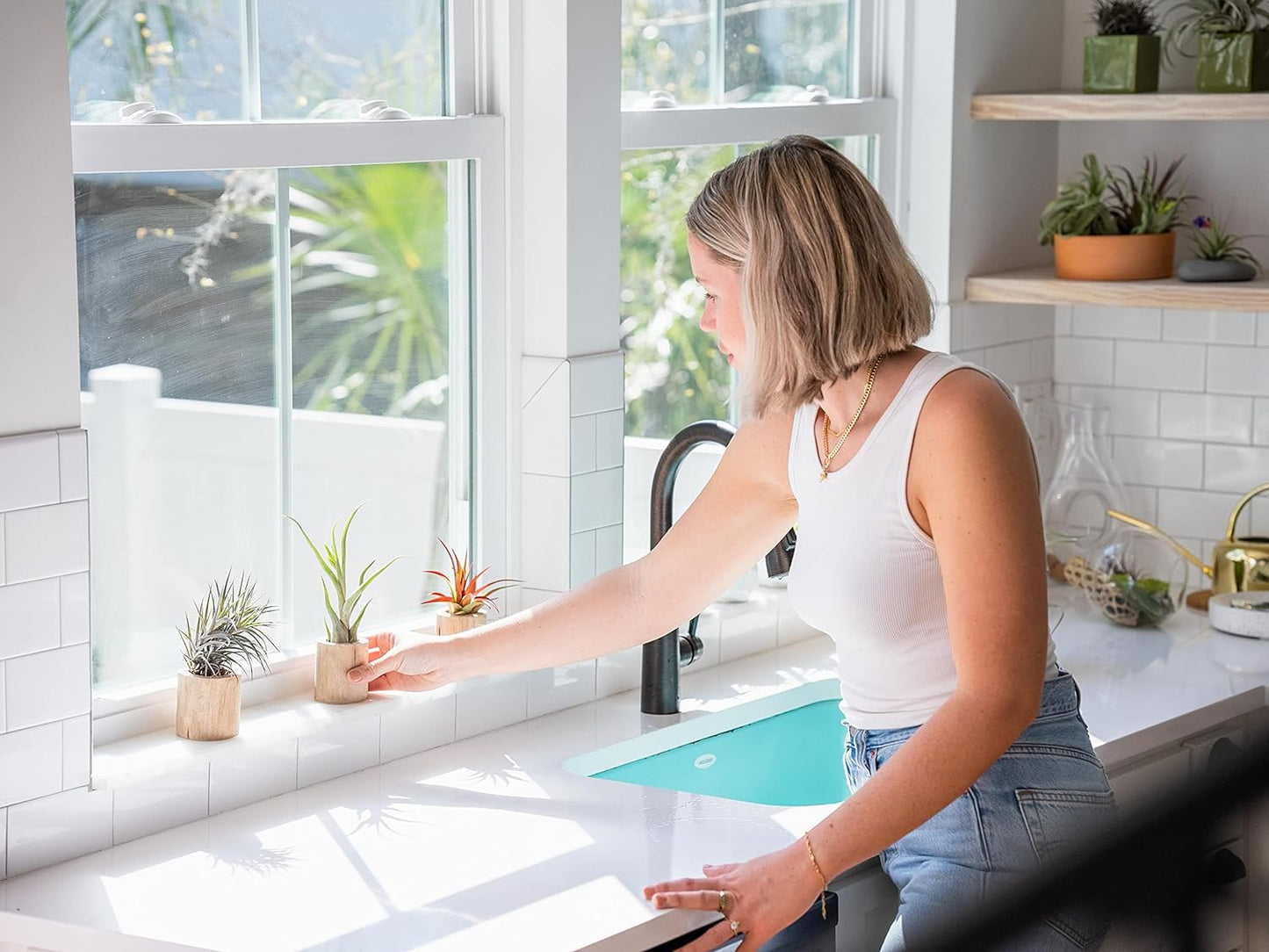 Thick Colombian Spanish Moss Live Strands with Wire Hook - Tillandsia Usneiodes - Live Tillandsia Succulent House Plants - Home and Garden Decor - Easy Care Indoor and Outdoor Plants