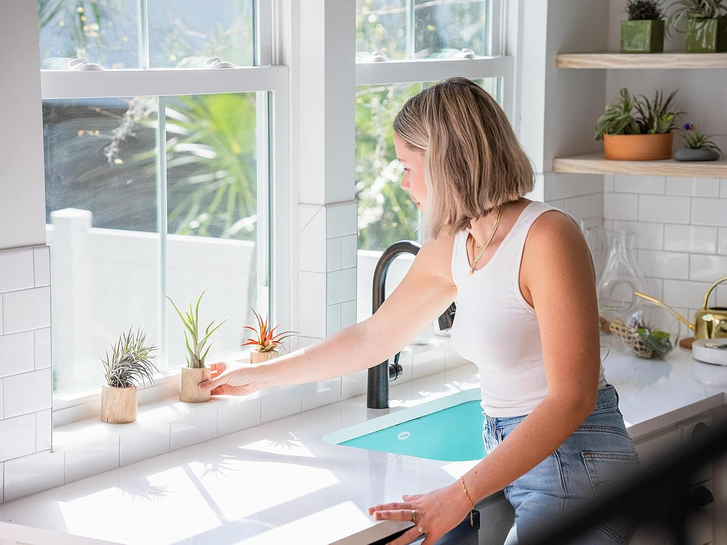 24 Pack Air Plants Assorted Tillandsia Ionantha - Live Succulent House Plants - Available in Wholesale and Bulk - Home and Garden Decor - Easy Care Indoor and Outdoor Plants