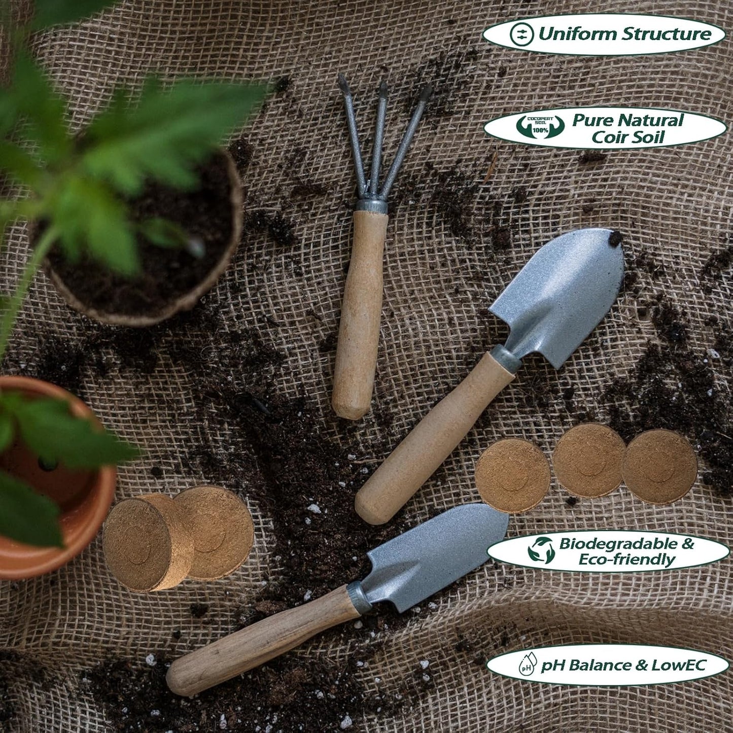 105 Pcs 30mm Compressed Coconut Coir Potting Soil,Coco Coir Pellets for Plants,Coco Fiber Pellets for Planting, Garden, Bonsai, Vegetables & Flower