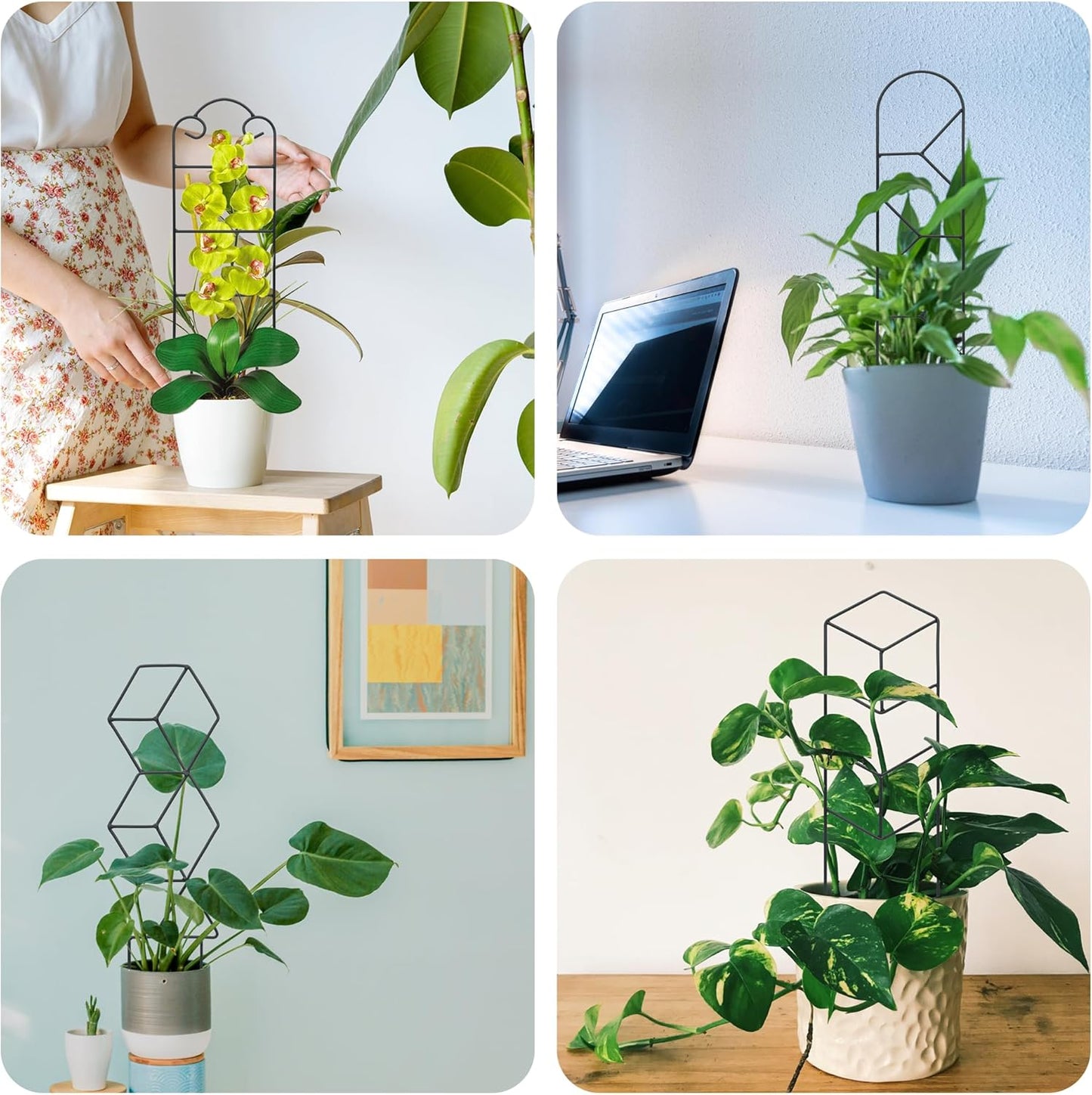 16 Inch Plant Trellis Indoor for Potted Plants 4 Pack Indoor Plant Trellis for Climbing Plants Houseplant Trellis Metal Garden Pot Trellis for Vine Ivy Support(16inch Black)