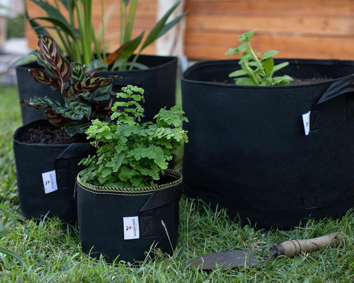 Grow Bags: 5-Pack (Size: 2 Gallon): 300gsm Black Felt Fabric w/Yellow Stitch, Biodegradable and eco-Friendly Material. (Handles + Dumping Handles-pat.Pend).