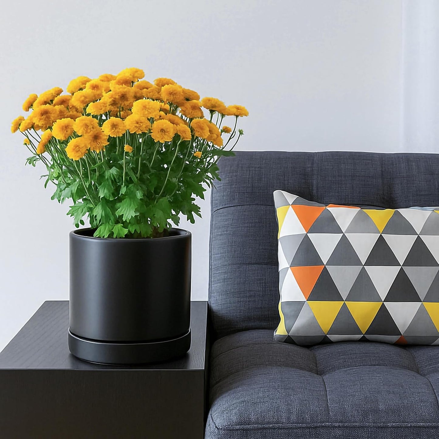 D'vine Dev 6.5 Inch Ceramic Planter Pot with Drainage Hole and Saucer, Indoor Cylinder Round Flower Pot, Black, 94-O-C-2