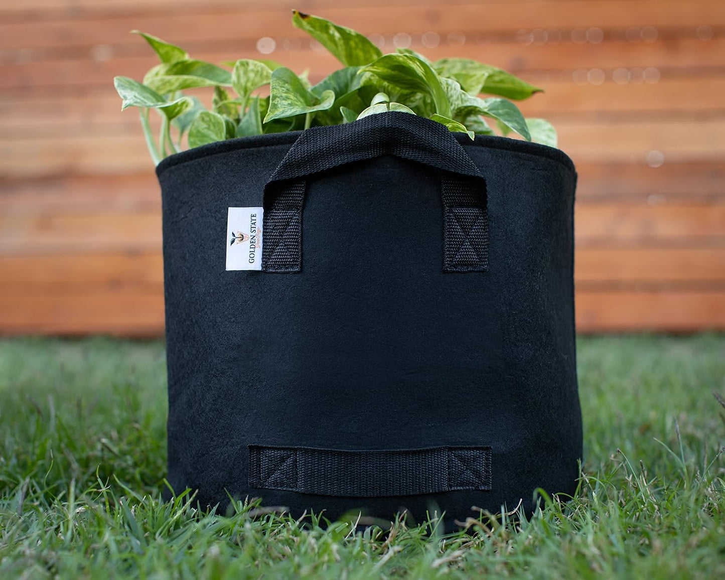 Grow Bags: 5-Pack (Size: 10 Gallon): 300gsm Black Felt Fabric, Biodegradable and eco-Friendly Material. (Handles + Dumping Handles-pat.Pend).