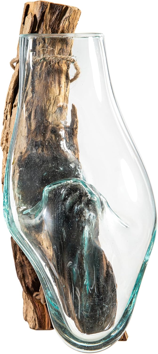 Cape Craftsmen Wall Mounted Molten Glass Hanging Terrarium on Driftwood, Indoor Wall Planter Vase on Wood, Propagation Station for Hydroponics Plants, Succulent Pot