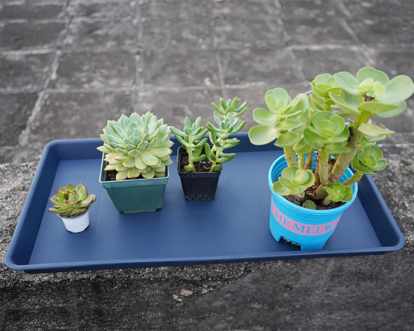 Rectangle Plant Tray, Plant Drip Tray, Plant Pot Saucers, Plant Germination Trays, Plant Saucers, 17.5'' x 10.6'' x 1.5'' (2 pack), Blue