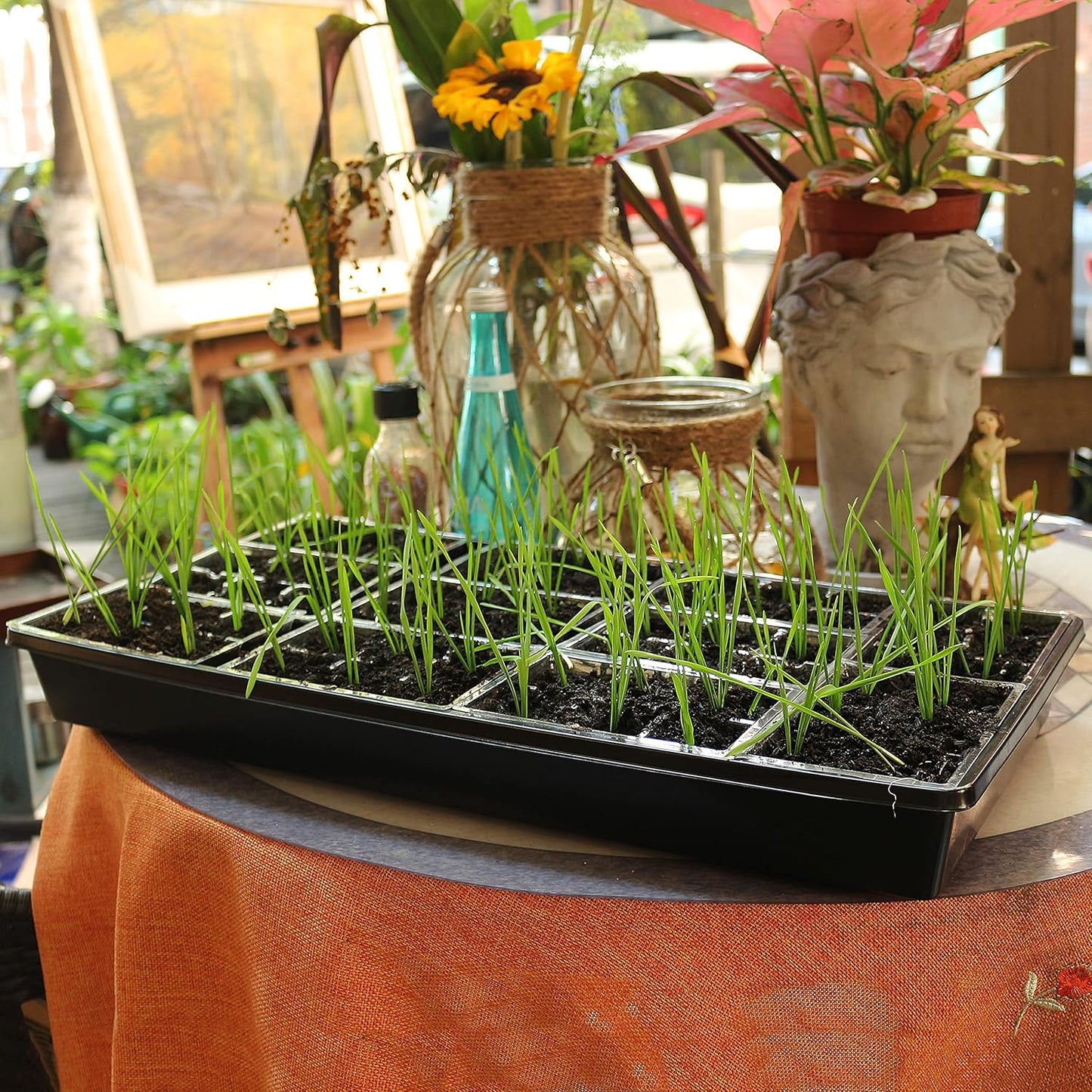 Gardzen 10 Pack Seed Trays, Reusable Plant Grow Trays, Ideal for Seed Starting, Microgreens, Indoor Gardening, and Greenhouse Plant Nurseries - No Drain Holes, 20"x10"